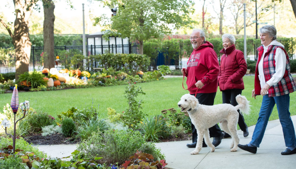 Three smiling older adults walking in the Admiral garden with dog